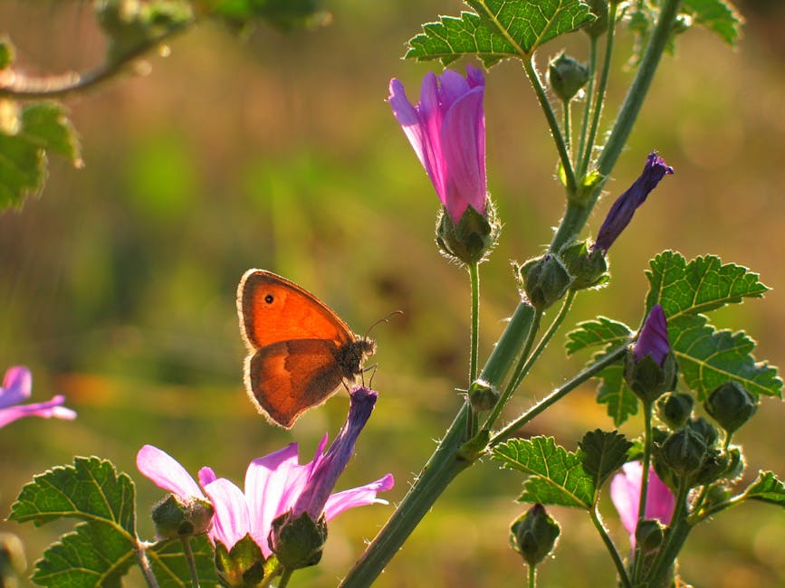 Keeping Bees Calm During Hive Inspections